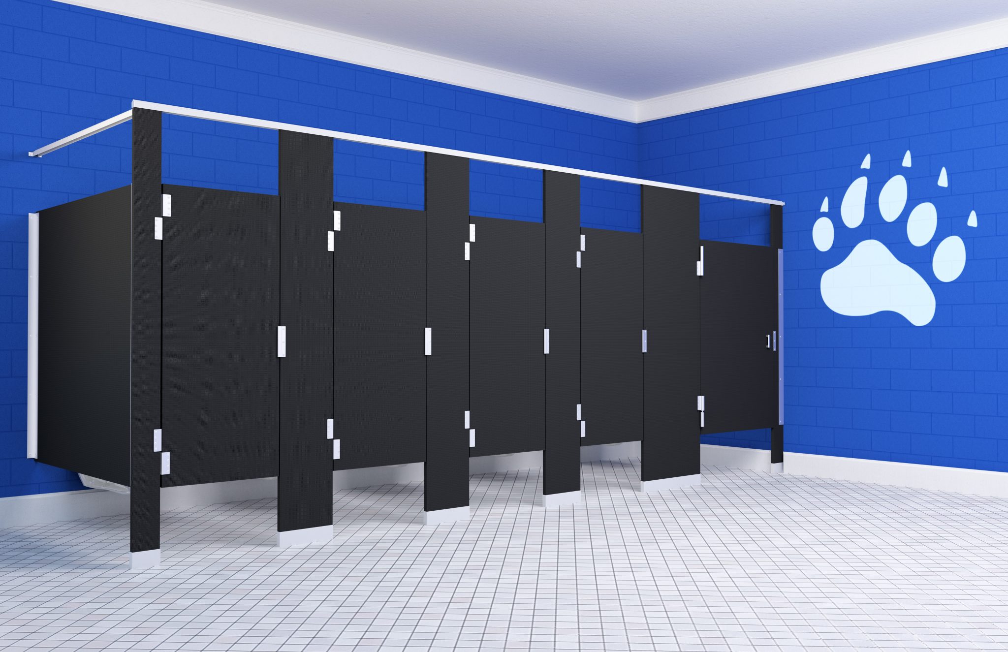 Black Hiny Hiders Partitions Next To Blue Wall