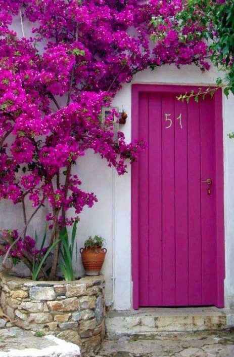 Bold Fuchisa Front Door