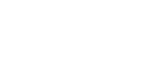 Hiny Hiders Partitions