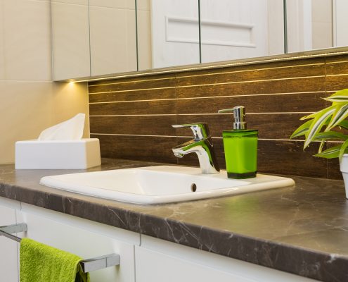 Earth Toned Bathroom interior