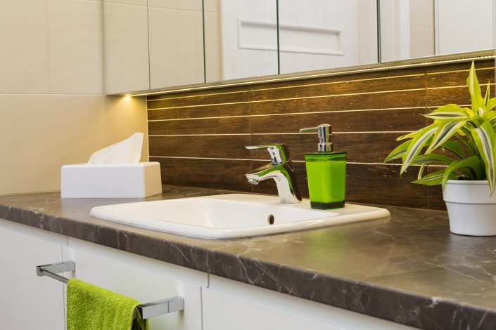 Earth Toned Bathroom interior