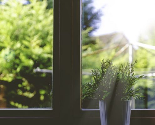 Nature & Plants