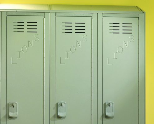 Tufftec Lockers® Color: Grey