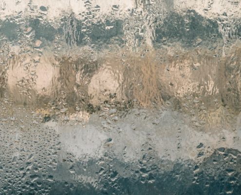 Preventing Mold and Mildew in Humid Weather