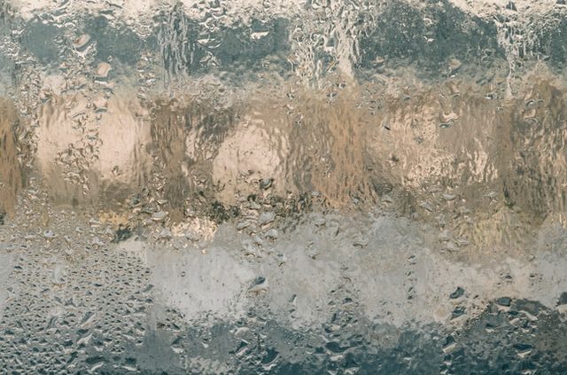 Preventing Mold and Mildew in Humid Weather