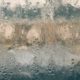 Preventing Mold and Mildew in Humid Weather